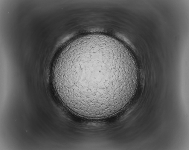X0000086240631200704191822