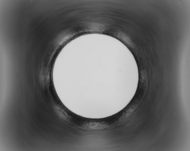 X0000086240632200704191822