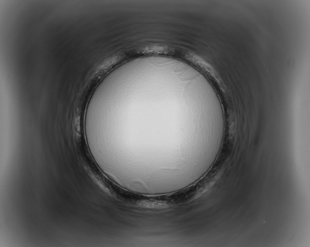 X0000086240633200704191822