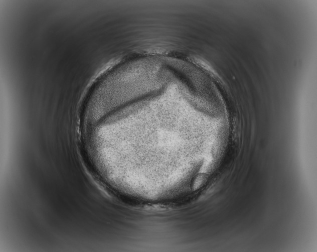 X0000086240634200704191822