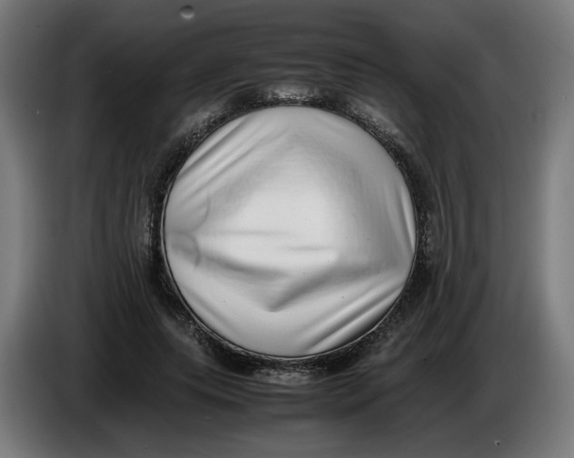 X0000086240639200704191822
