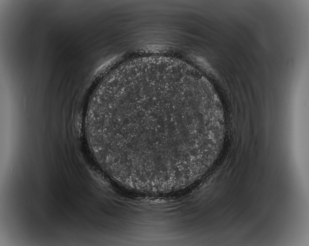 X0000086240640200704191822