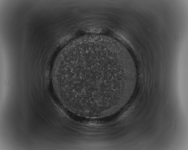 X0000086240641200704191822