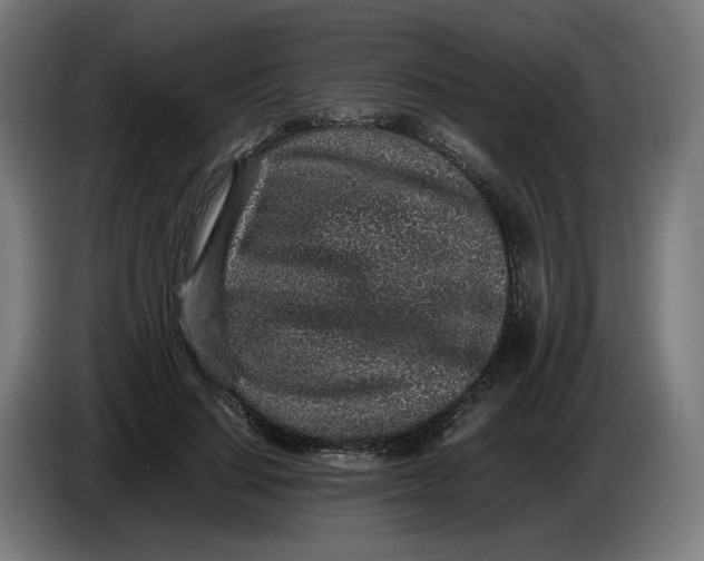 X0000086240644200704191822