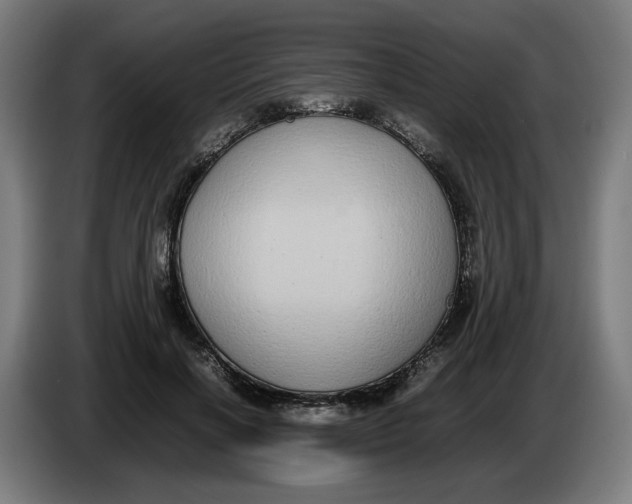 X0000086240646200704191822