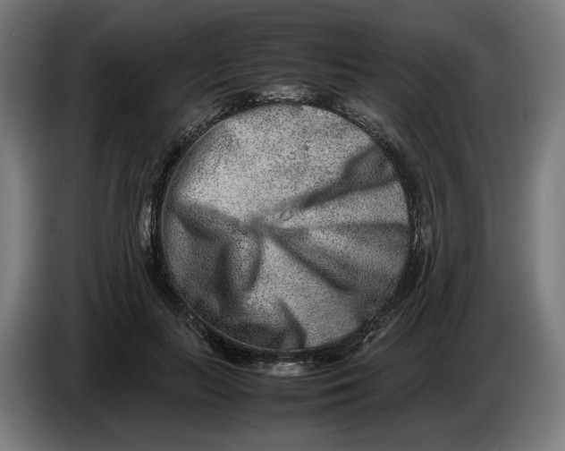 X0000086240647200704191822