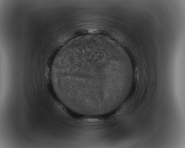 X0000086240650200704191822