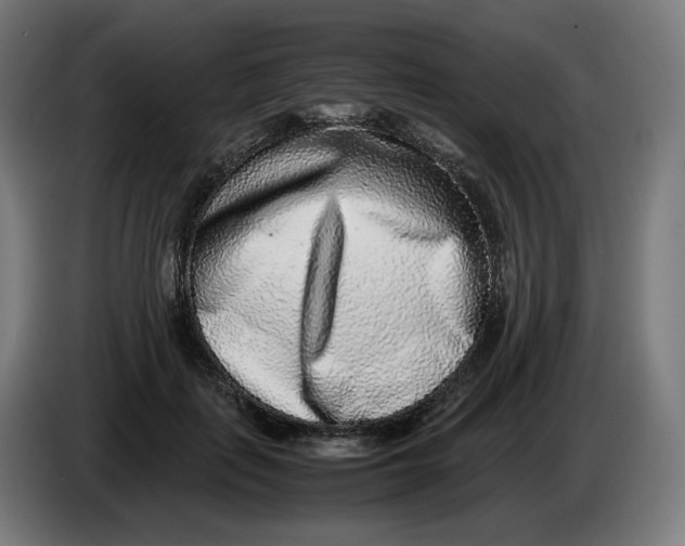 X0000086240651200704191822