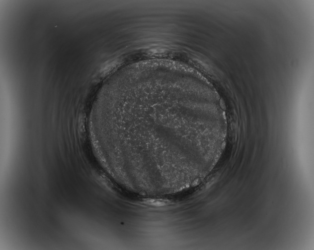 X0000086240654200704191822