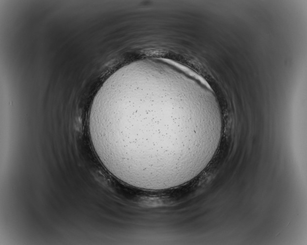 X0000086240655200704191822