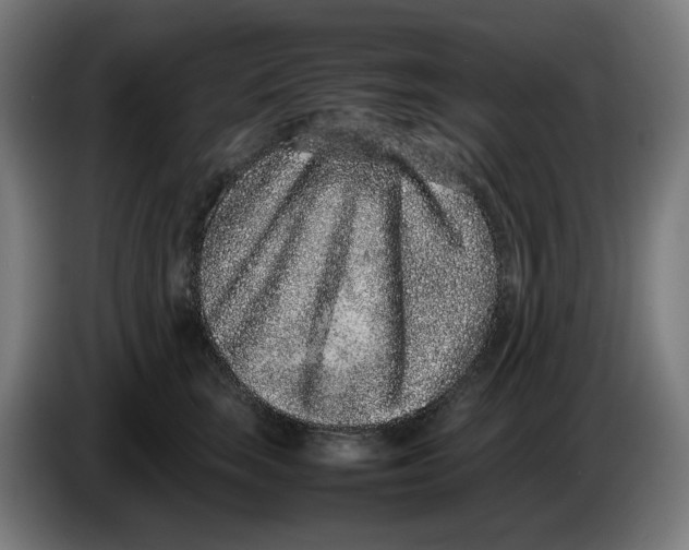 X0000086240663200704191822