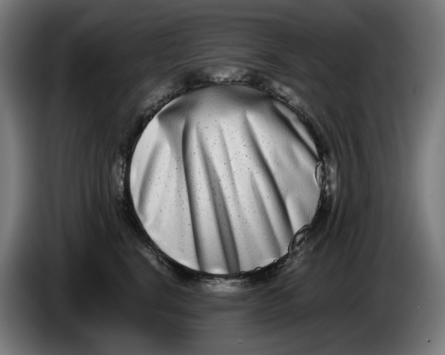 X0000086240664200704191822