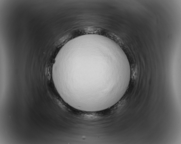 X0000086240666200704191822