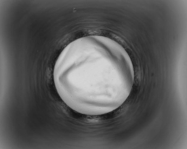 X0000086240667200704191822