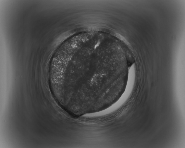 X0000086240673200704191821