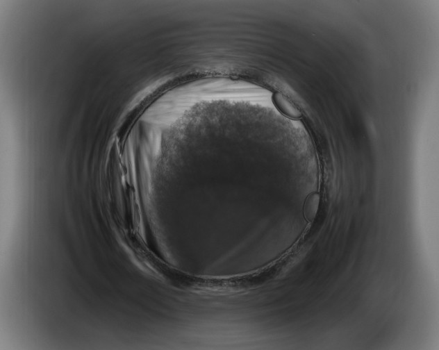 X0000086240674200704191821