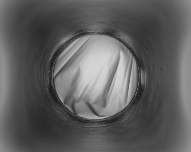 X0000086240675200704191821