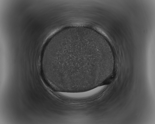 X0000086240677200704191821