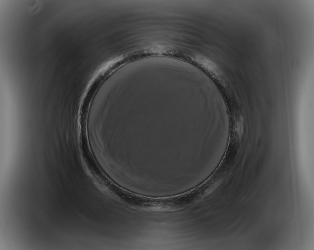 X0000086240678200704191821