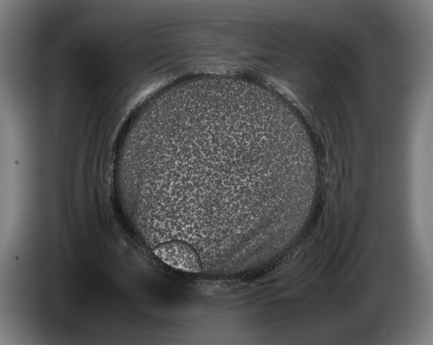 X0000086240679200704191821