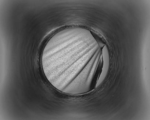 X0000086240680200704191821