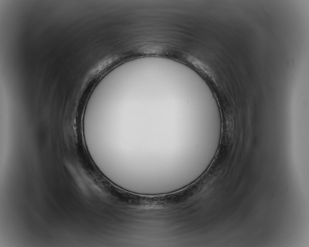 X0000086240682200704191821