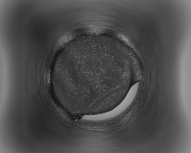 X0000086240685200704191821