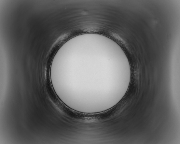 X0000086240686200704191821