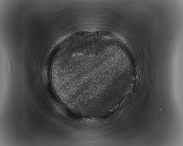X0000086240688200704191821
