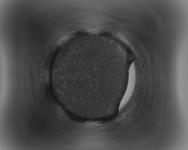 X0000086240689200704191821