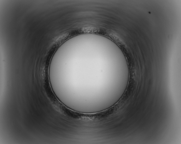 X0000086240690200704191821