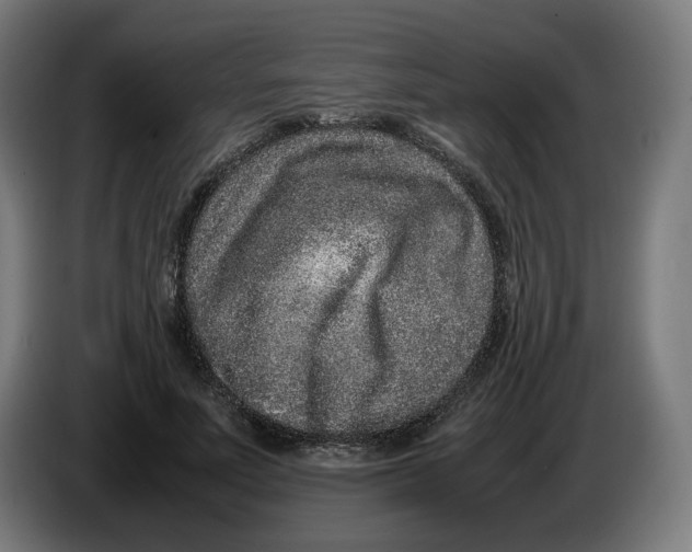 X0000086240691200704191821