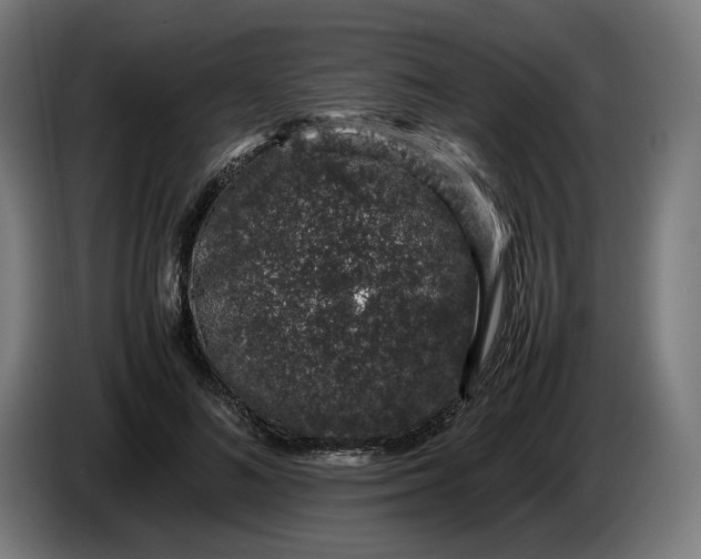 X0000086240692200704191821