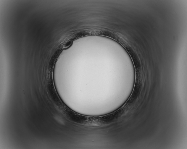 X0000086240695200704191821