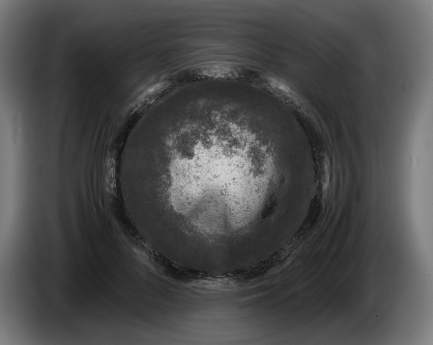 X0000086240696200704191821