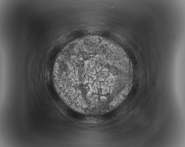 X0000086240703200704191821