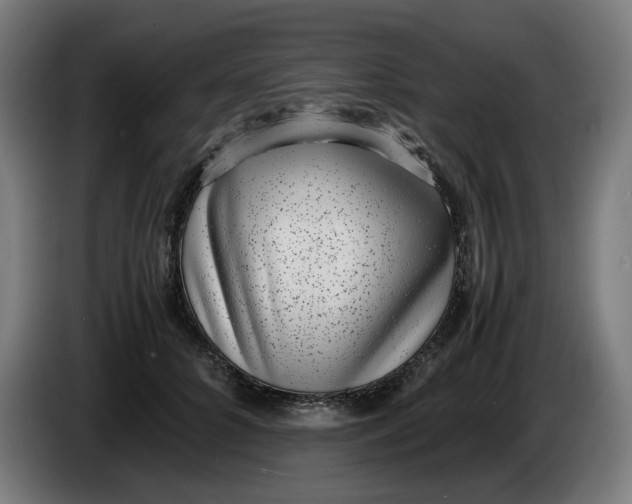 X0000086240704200704191821