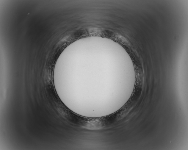 X0000086240705200704191821