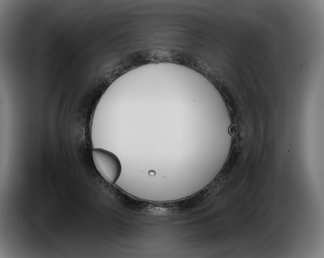 X0000086240706200704191821