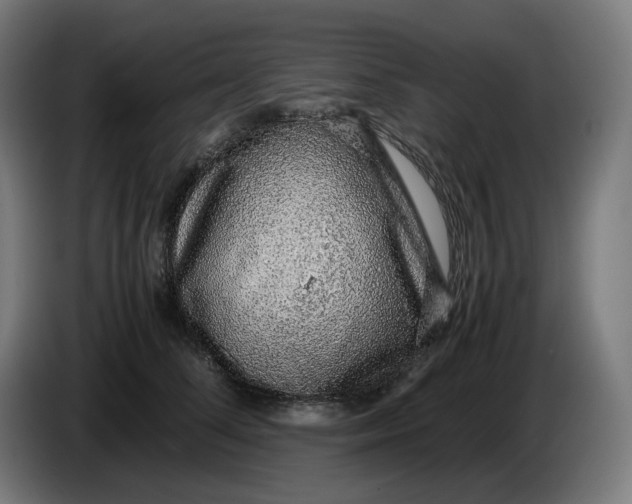 X0000086240708200704191821