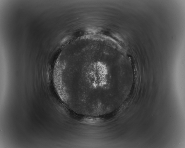 X0000086240712200704191821