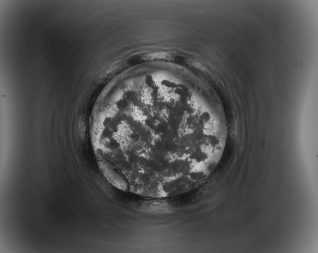 X0000086240715200704191821
