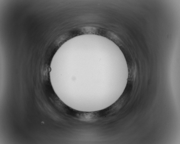 X0000086240717200704191821