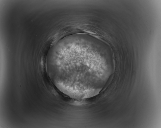 X0000086240720200704191821