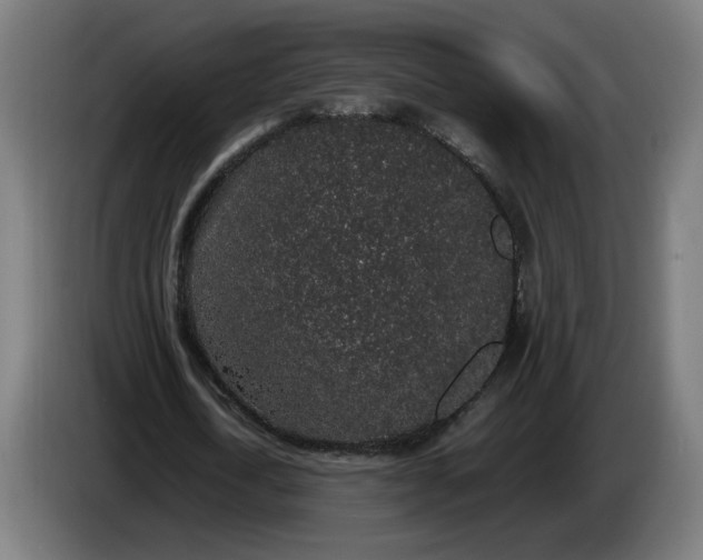 X0000086240722200704191820