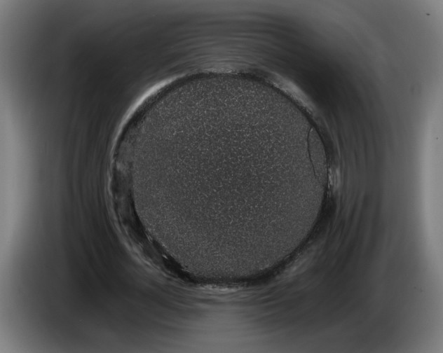 X0000086240724200704191820