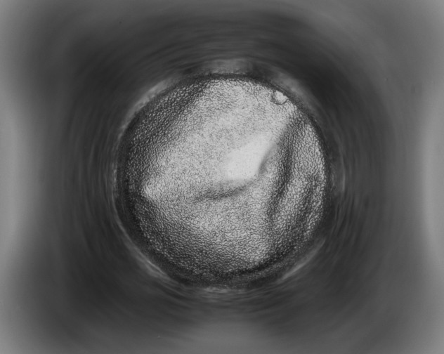 X0000086240725200704191820