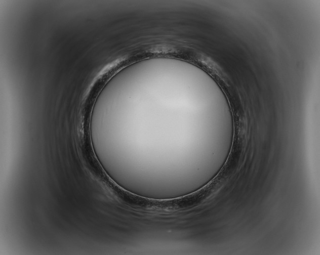 X0000086240727200704191820