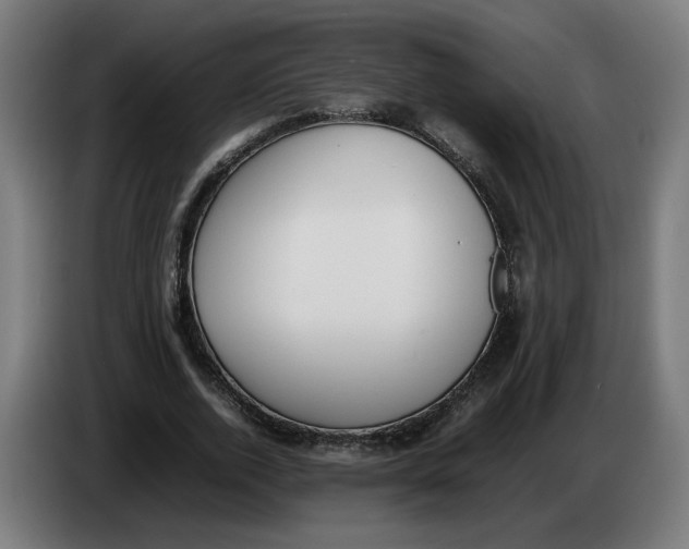 X0000086240728200704191820