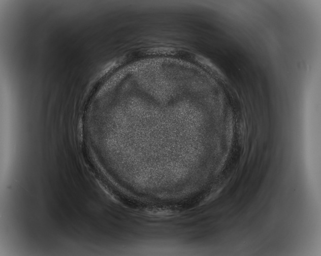 X0000086240729200704191820
